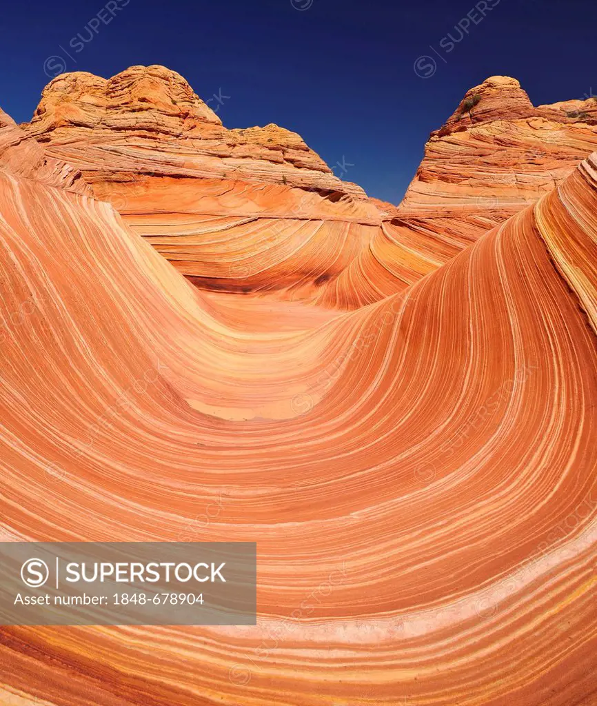 The Wave, banded eroded Navajo sandstone rocks with Liesegang Bands, Liesegangen Rings, or Liesegang Rings, North Coyote Buttes, Paria Canyon, Vermill...