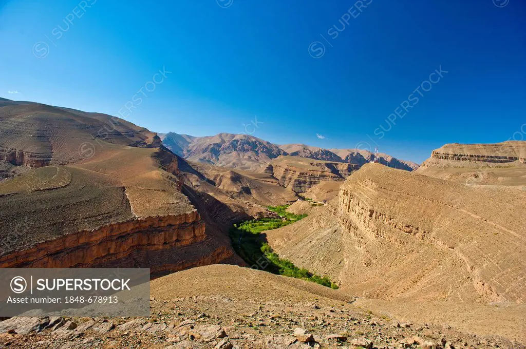 Canyon-like valley of the Dades river, Dadès Gorges gorge, Berbers cultivating small fields, upper Dades Valley, High Atlas mountain range, Morocco, A...