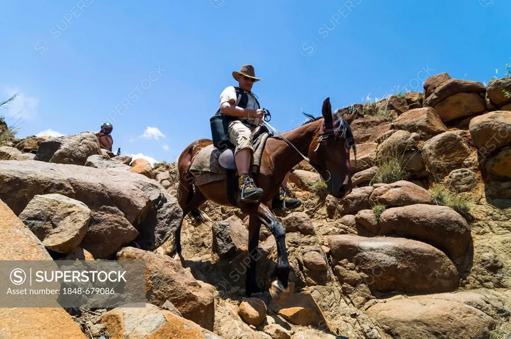 Man on horseback, Highlands, Kingdom of Lesotho, Africa