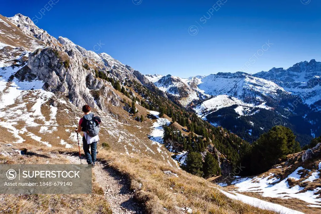 Female hiker walking on the Herrensteig path, Kofelwiesen alp, Villnoesstal valley, province of Bolzano-Bozen, Italy, Europe