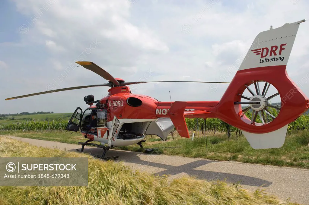 DRF rescue helicopter landing during a rescue operation, Hessigheim, Baden-Wuerttemberg, Germany, Europe