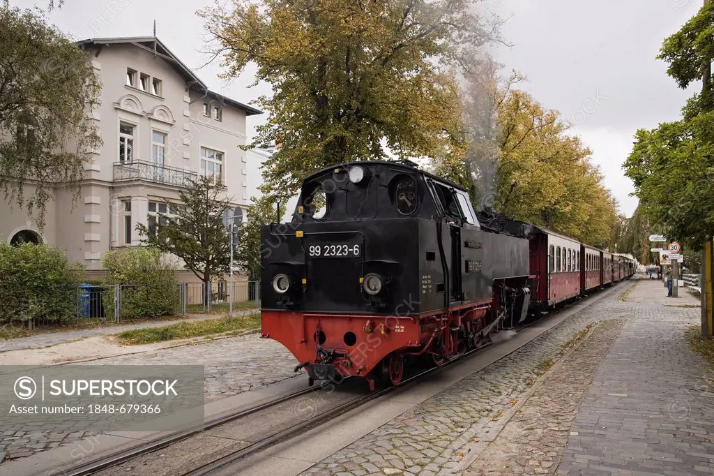 Baederbahn Molli, a narrow-gauge steam-powered railway, at Goethestrasse railway station in Bad Doberan, Mecklenburg-Western Pomerania, Germany, Europ...