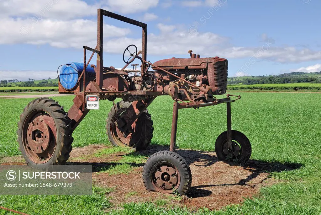 Abandoned tractor for the tea harvest, Nerada Tea plantation, Malanda, Atherton, Tablelands, Queensland, Australia