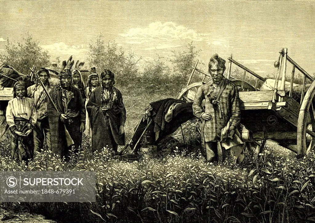 Ojibwe, Ojibwa, Ojibway, Chippewa or Chippeway, group of Native Americans-First Nations, USA, historical illustration, 1869