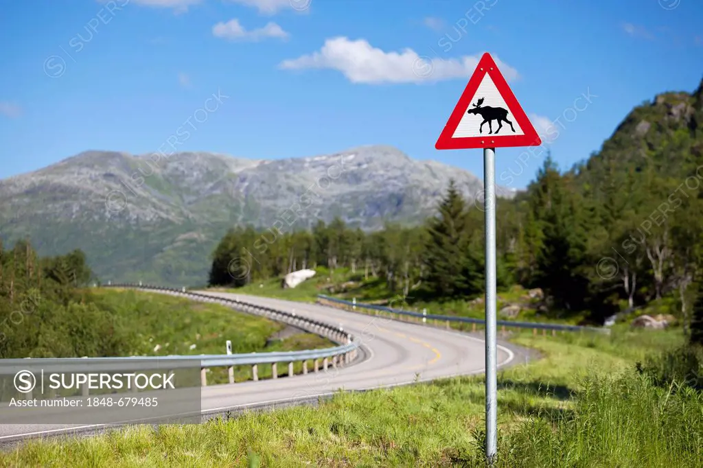 Elk warning sign on the roadside of a road in the Lofoten Islands, Norway, Scandinavia, Europe