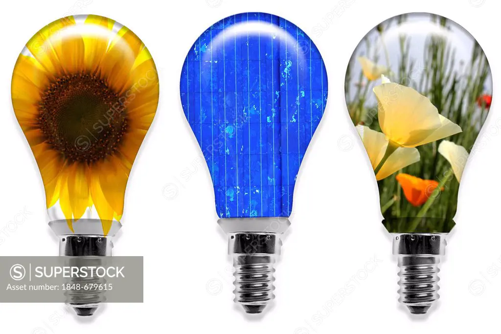 Illustration, light bulbs, symbolic image for renewable energy, solar power