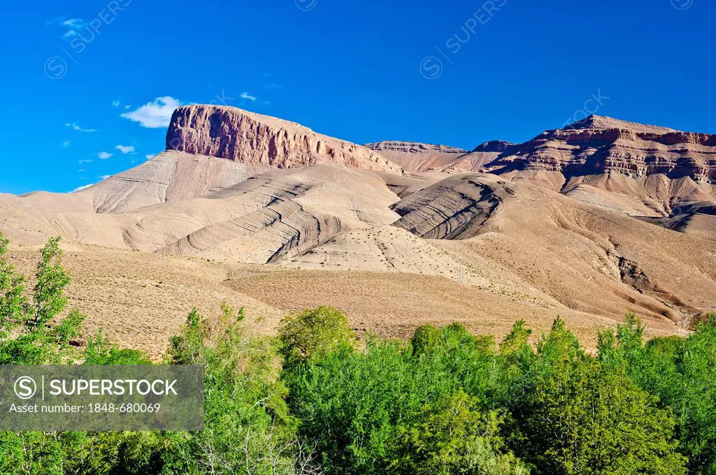 Typical mountain landscape in the valley of the Dades River, escarpment landscape, trees along the river bank, Upper Dades Valley, High Atlas mountain...