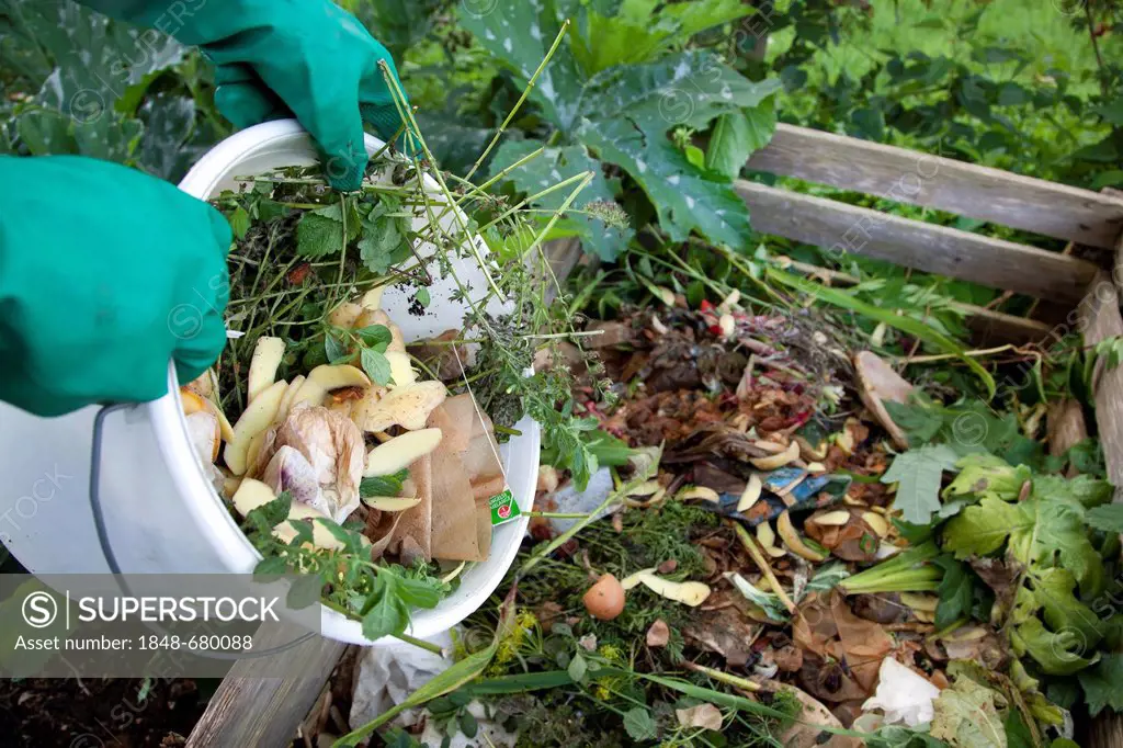Organic waste, compost, compost heap, Germany, Europe