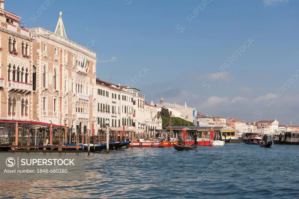 Gondolas in front of the palaces on the Grand Canal, Venice, Veneto, Italy, Southern Europe