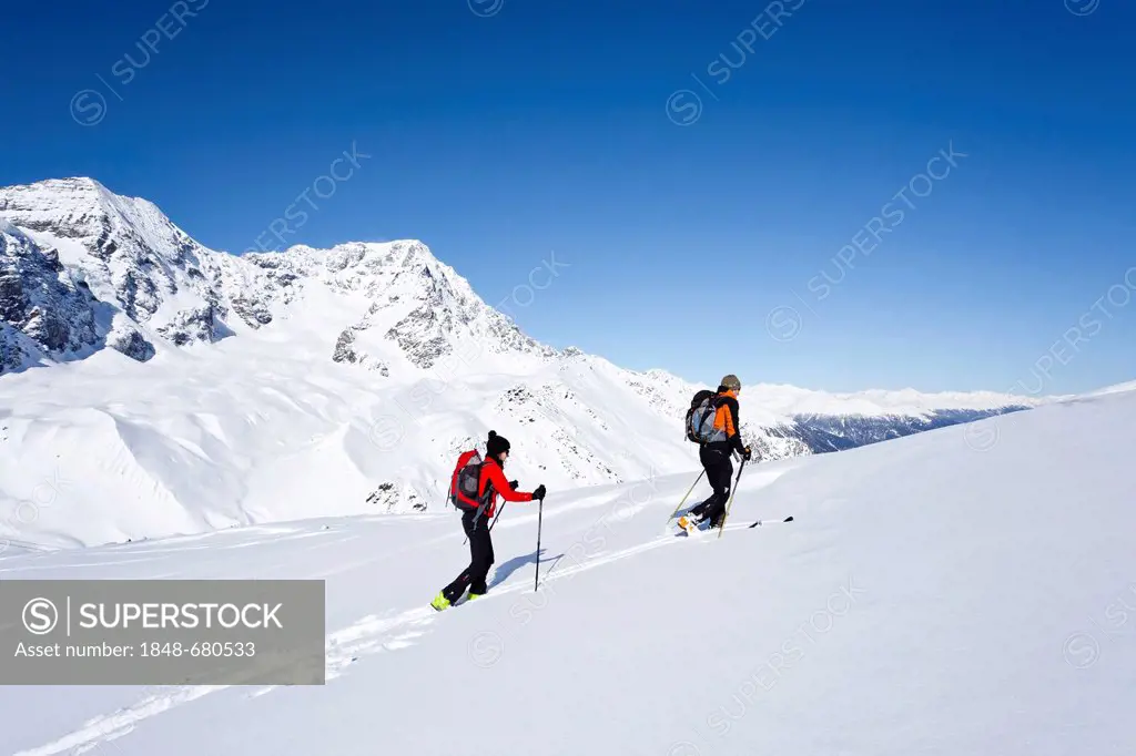 Ski mountaineers climbing Hintere Schoentaufspitze mountain, Sulden in winter, Ortler mountain and Zebru mountain at the back, province of Bolzano-Boz...