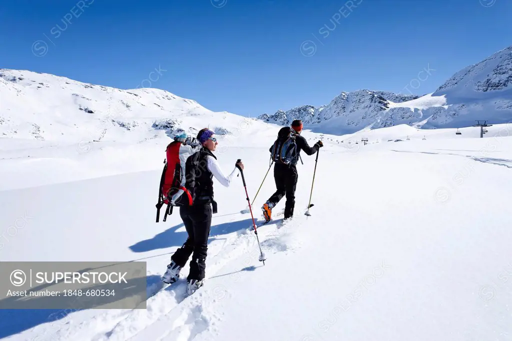 Ski mountaineers climbing Hintere Schoentaufspitze mountain, winter, Sulden skiing area at the back, province of Bolzano-Bozen, Italy, Europe