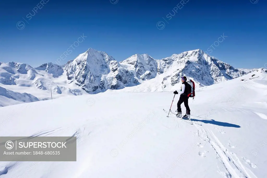 Ski mountaineer climbing Hintere Schoentaufspitze mountain, Sulden in winter, Koenigsspitze mountain, Ortler mountain and Zebru mountain at the back, ...