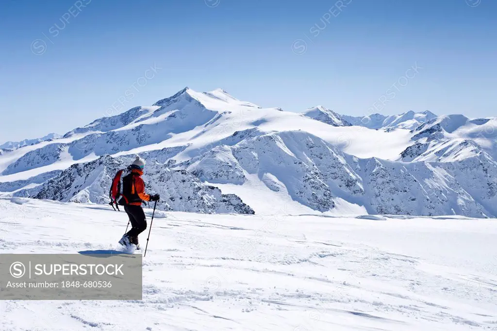 Ski mountaineer descending from Hintere Schoentaufspitze mountain, Sulden in winter, Zufallspitze mountain and Cevedale mountain at the back, province...