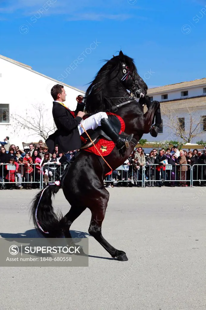 Riders performing Menorcan Dressage, Santa Eulalia, Ibiza, Spain, Europe