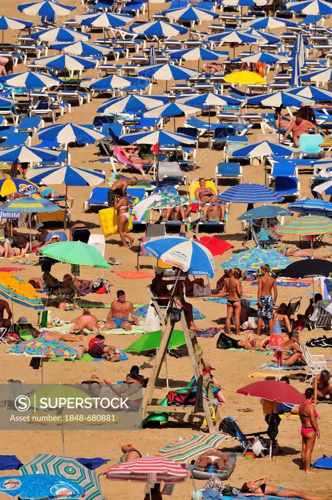 Bathers on Playa Levante beach, mass tourism, Benidorm, Costa Blanca, Spain, Europe