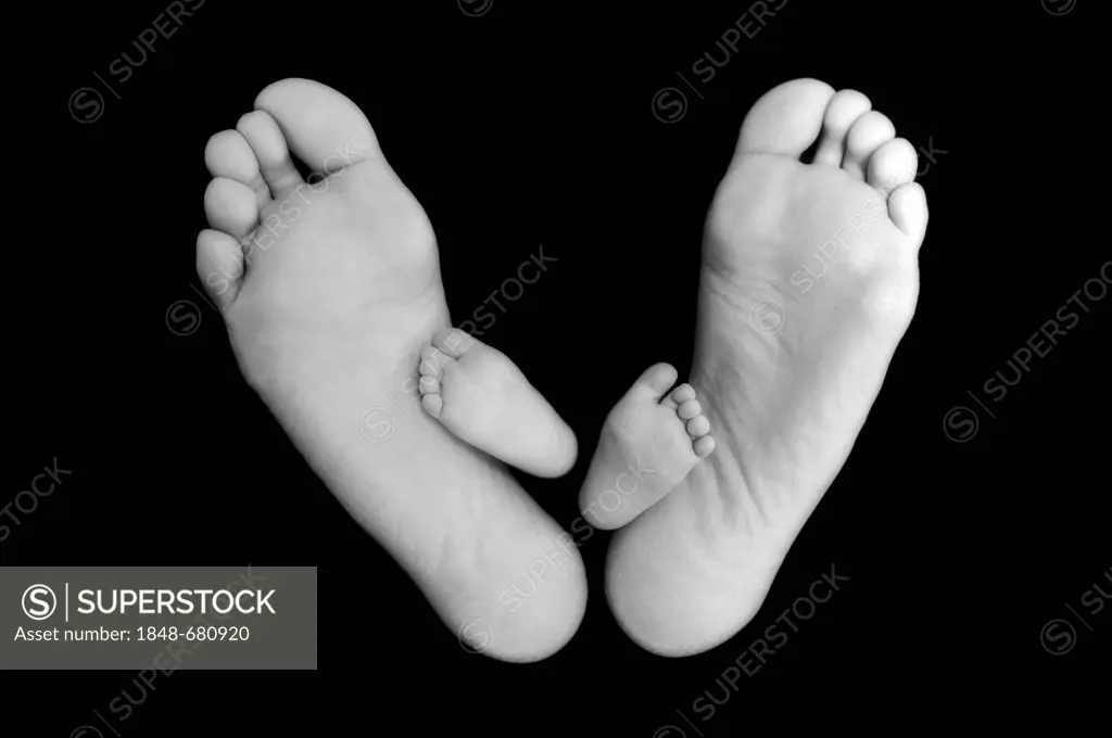 Feet of a baby between the feet of the father