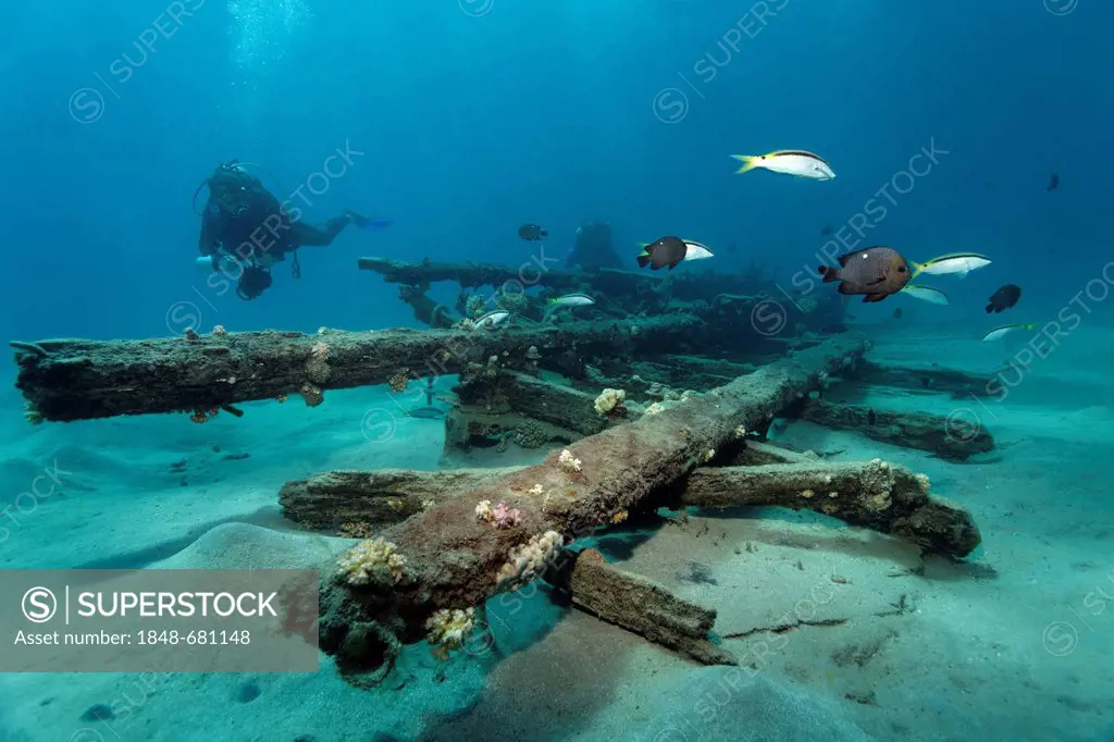 Diver with underwater camera looking at a wooden ship wreck with different fishes, Makadi Bay, Hurghada, Egypt, Red Sea, Africa