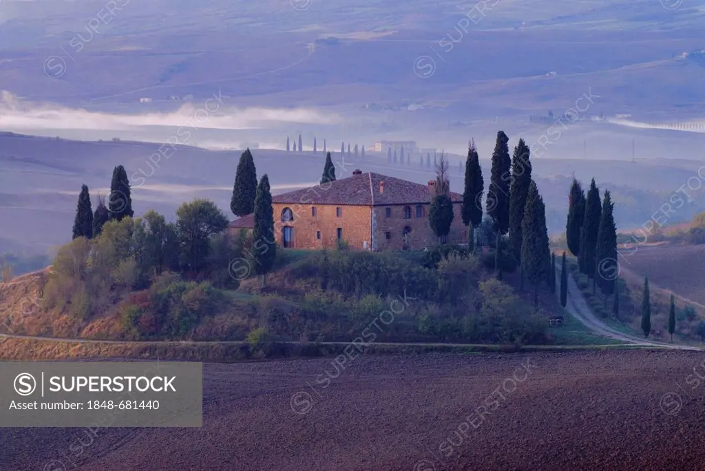 A farm house in Tuscany surrounded by olive trees and cypress trees illuminated by the first light of the day, Italy, Europe