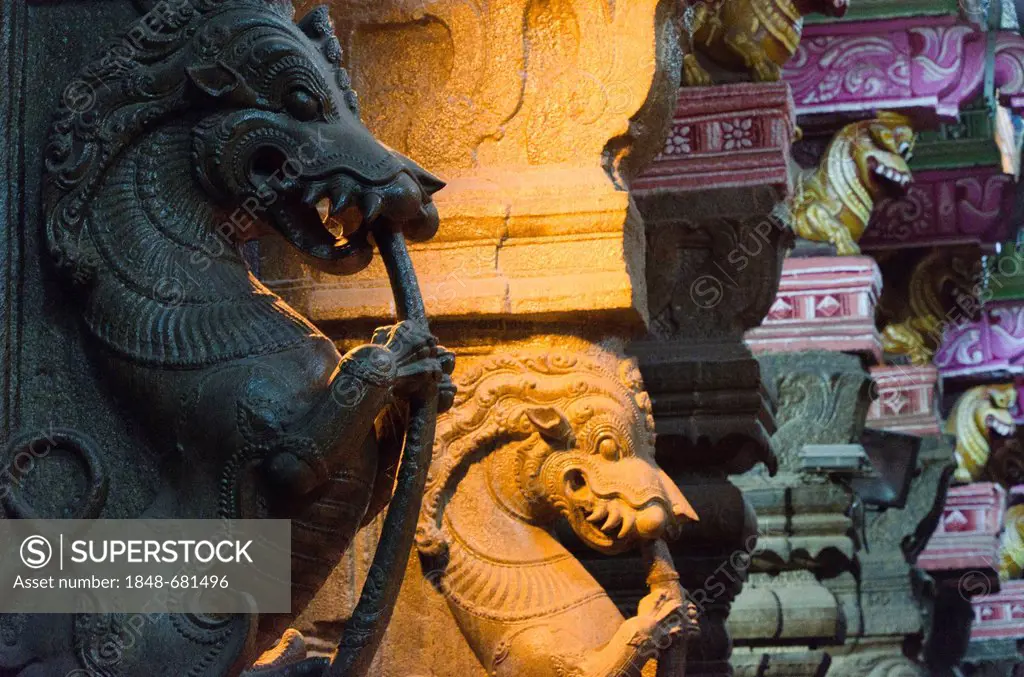 The inside of the Menakshi-Sundareshwara Temple in Madurai is decorated with hundreds of artfully carved statues of gods and deities, Tamil Nadu, Indi...