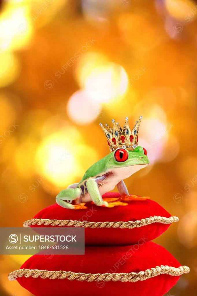Frog wearing a golden crown sitting on cushions, illustration