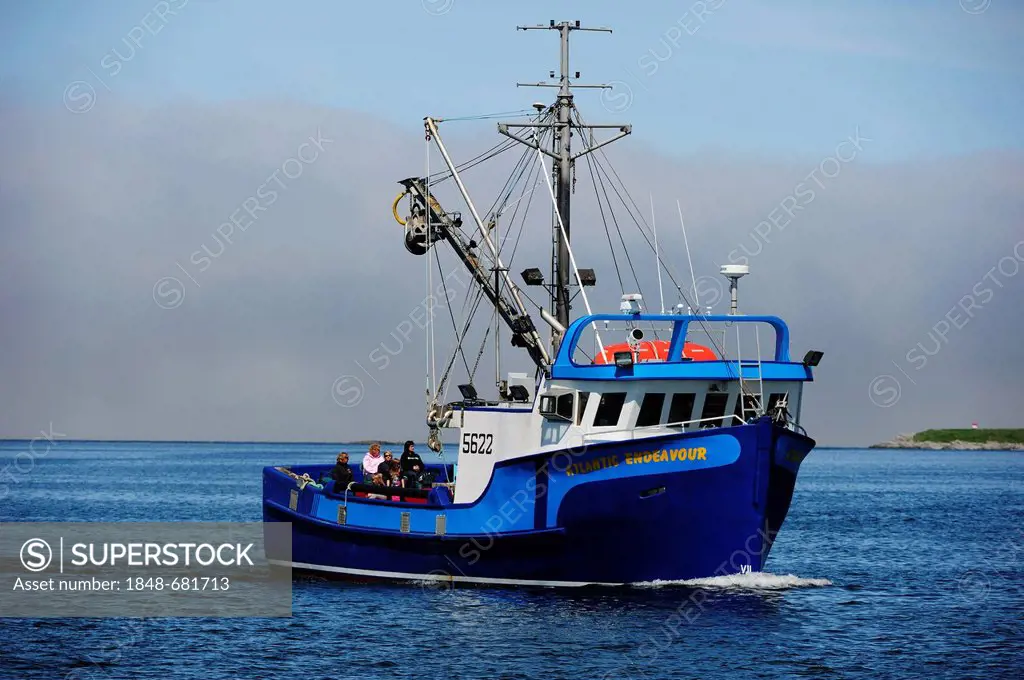 Fishing boat with tourists entering into the harbor, Newfoundland, Canada, North America