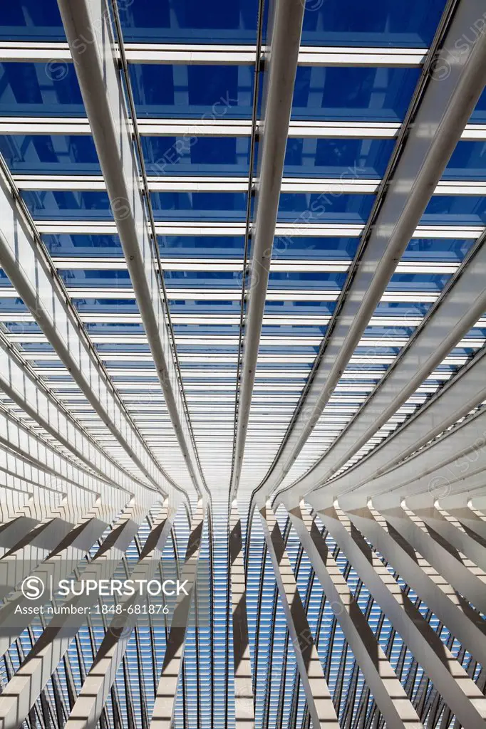 Roof detail of the concourse, Gare de Liège-Guillemin station by architect Santiago Calatrava, Liège, Wallonia or Walloon Region, Belgium, Europe