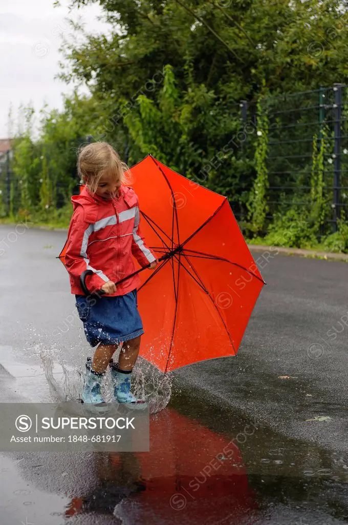 7-year-old girl with umbrella walking in the rain through a puddle on the road, Assamstadt, Baden-Wuerttemberg, Germany, Europe