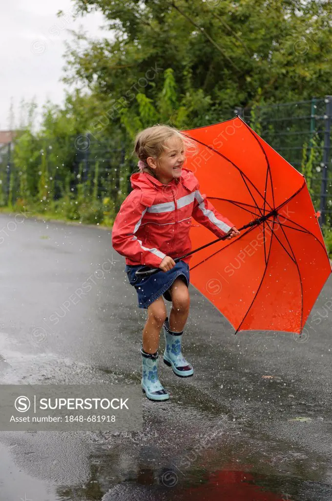 7-year-old girl with umbrella jumping in a puddle on the road in the rain, Assamstadt, Baden-Wuerttemberg, Germany, Europe