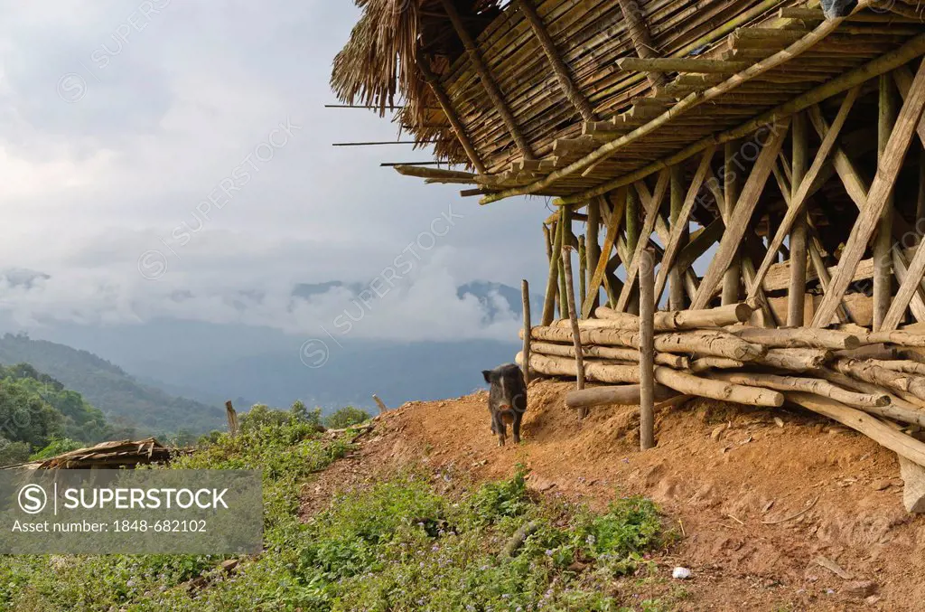 Kombo, village of the Adi Gallo tribe, in the hills of Arunachal Pradesh, India, Asia
