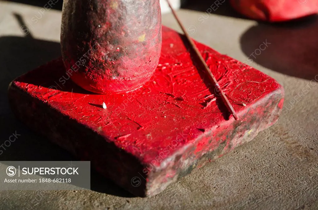 The colour red for the make-up of the Kathakali dancers is made from Chayallium, Varkala, Kerala, India, Asia