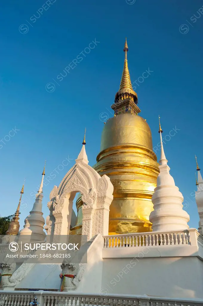 Golden pagoda or chedi, Wat Suan Dok, Chiang Mai, northern Thailand, Thailand, Asia