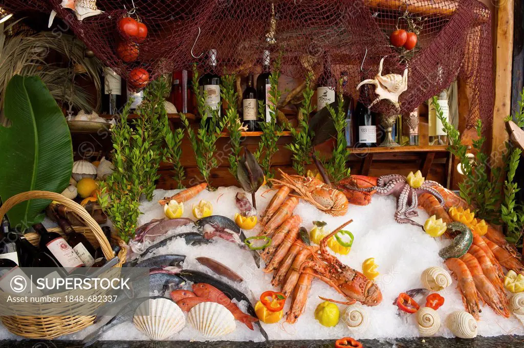 Fish and seafood on display in the window of a tavern in Rethymnon, Crete, Greece, Europe
