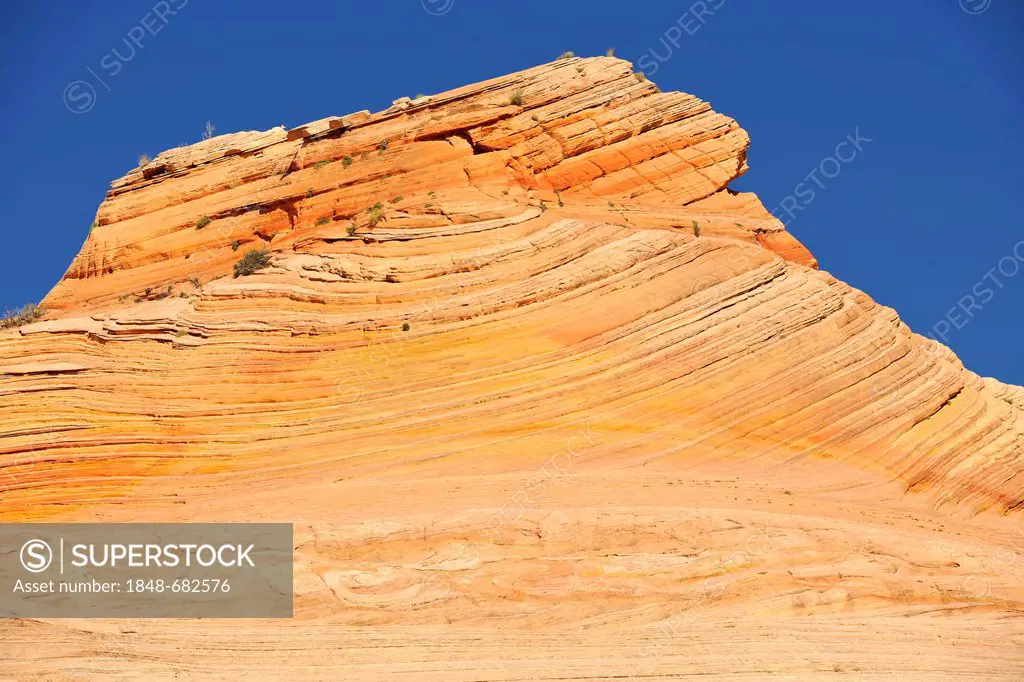 Coyote Buttes rock formation, on the way to The Wave sandstone rock, North Coyote Buttes, Paria Canyon, Vermillion Cliffs National Monument, Arizona, ...