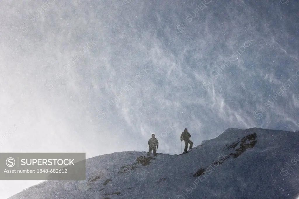 Freeriders in an area with deep snow during a snowstorm, Stubai Glacier, North Tyrol, Austria, Europe