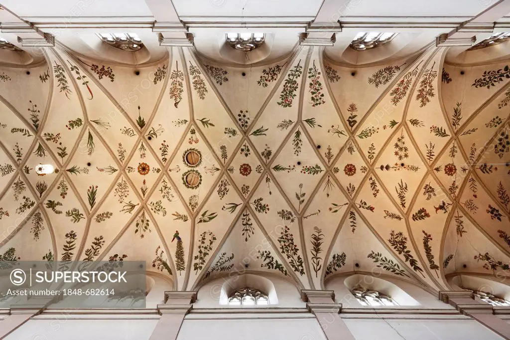 Herbarium on the vaulted ceiling, Monastery Church of St. Michael, Michaelsberg Abbey, Bamberg, Upper Franconia, Franconia, Bavaria, Germany, Europe
