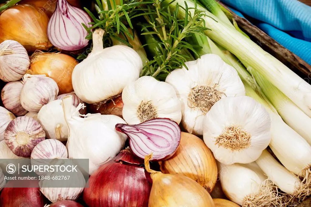 Different types of onions, garlic and rosemary