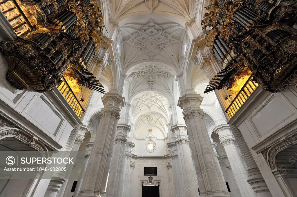 Interior view with organs, Cathedral of Santa Maria de la Encarnacion, Granada Cathedral, Granada, Andalucia, Spain, Europe