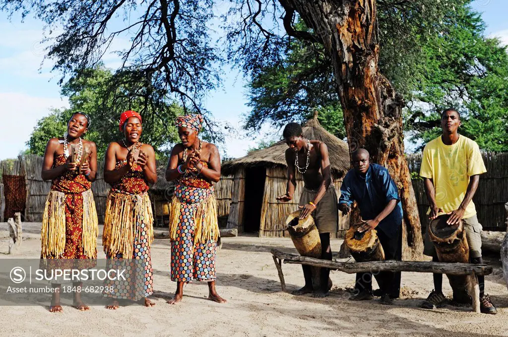 Women dancing as a show for tourists, men with drums, traditional village near Camp Kwando on the Kwando River, Caprivi Strip or Okavango Strip, Namib...