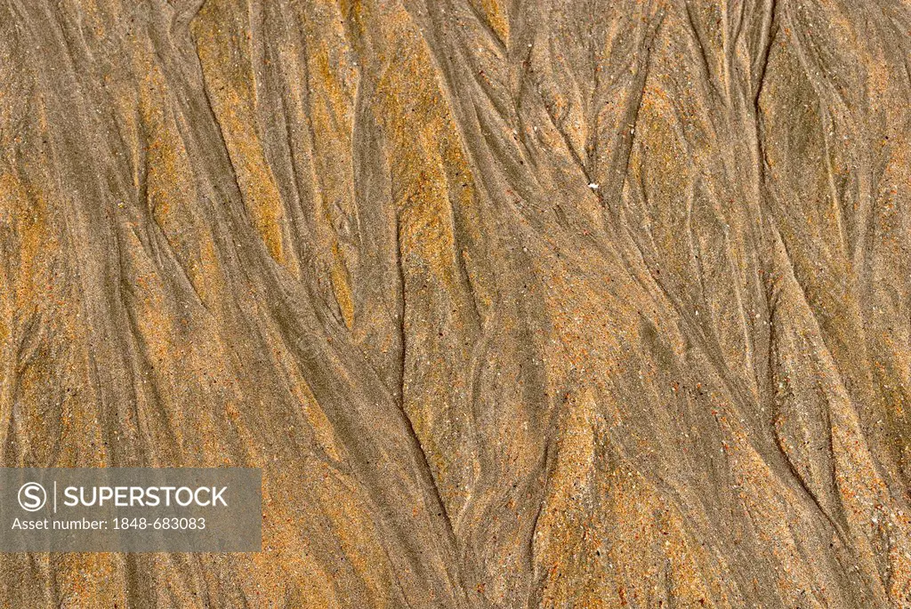 Sand structure at low tide, Balding Bay, northern coast, Magnetic Island, Queensland, Australia