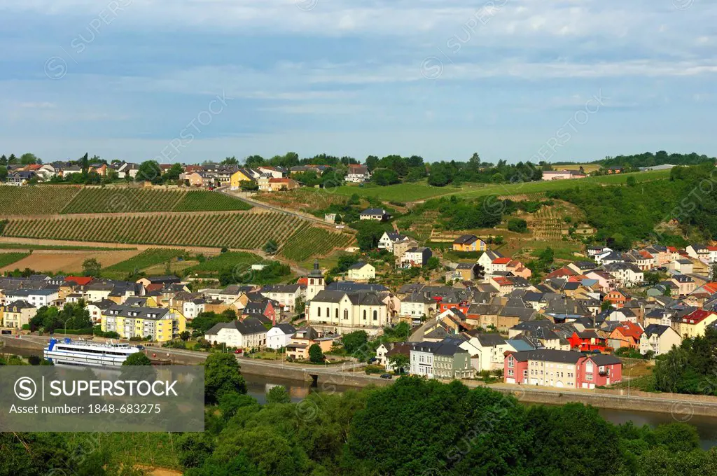 Wormeldange, Wuermeldeng, Wormeldingen, Riesling, valley of the Moselle River, Luxembourg, Europe
