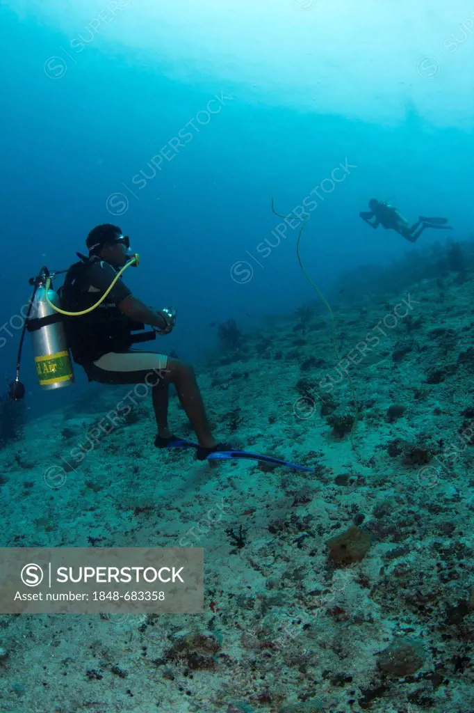 Divers on drifting dive, Raimas Thila Wall, Maldives, Indian Ocean