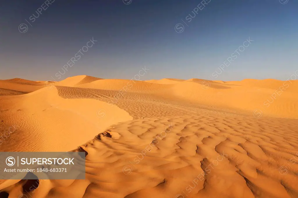 Desert landscape in the Sahara near Ksar Ghilane, Tunisia, Maghreb, North Africa, Africa