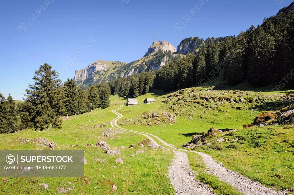 Road for agricultural use and a hiking trail on Alp Soll Mountain, with Hohe Kasten Mountain on the horizon and Kamor Mountain on the left, Canton of ...