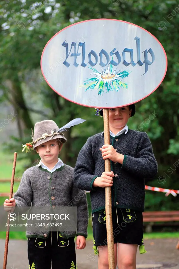 Boys carrying a Moosalp sign during Viehscheid, separating the cattle after their return from the Alps, Thalkirchdorf, Oberstaufen, Bavaria, Germany, ...
