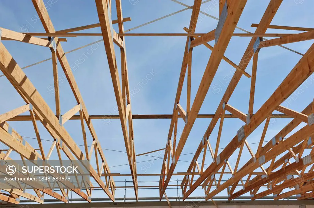 Wooden roof structure of a new hall development