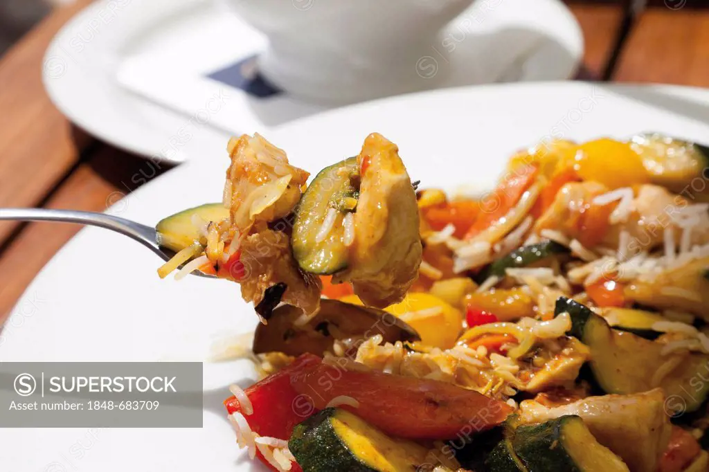 Stir-fried wok vegetables with turkey and rice