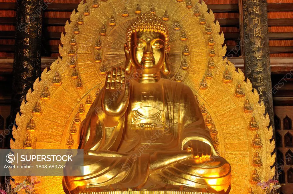 Gold-plated Buddha statue, Pagoda Chua Bai Dinh, Ninh Binh, Vietnam, Southeast Asia, Asia