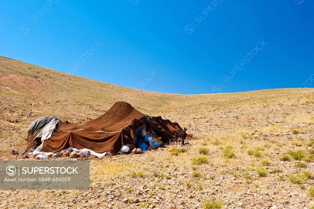 Traditional nomadic tent on a mountainside, Anti-Atlas Mountains, southern Morocco, Morocco, Africa