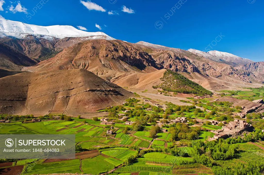 Landscape with cultivated fields and small settlement in Ait Bouguemez Valley, High Atlas Mountains, Morocco, Africa
