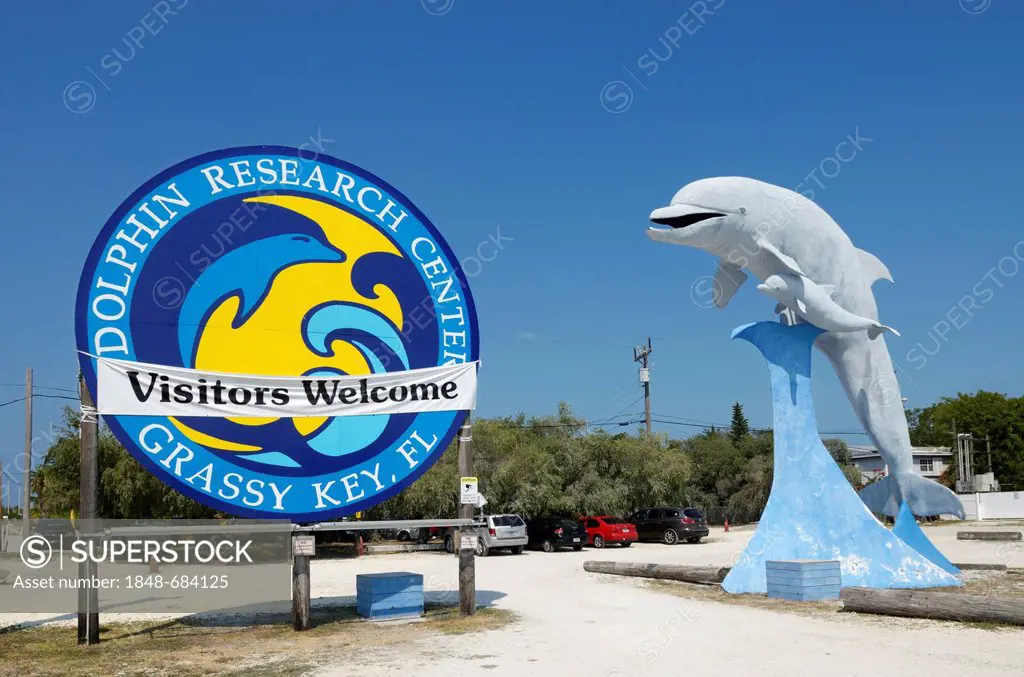 Dolphin Research Center, Grassy Key, Florida, USA